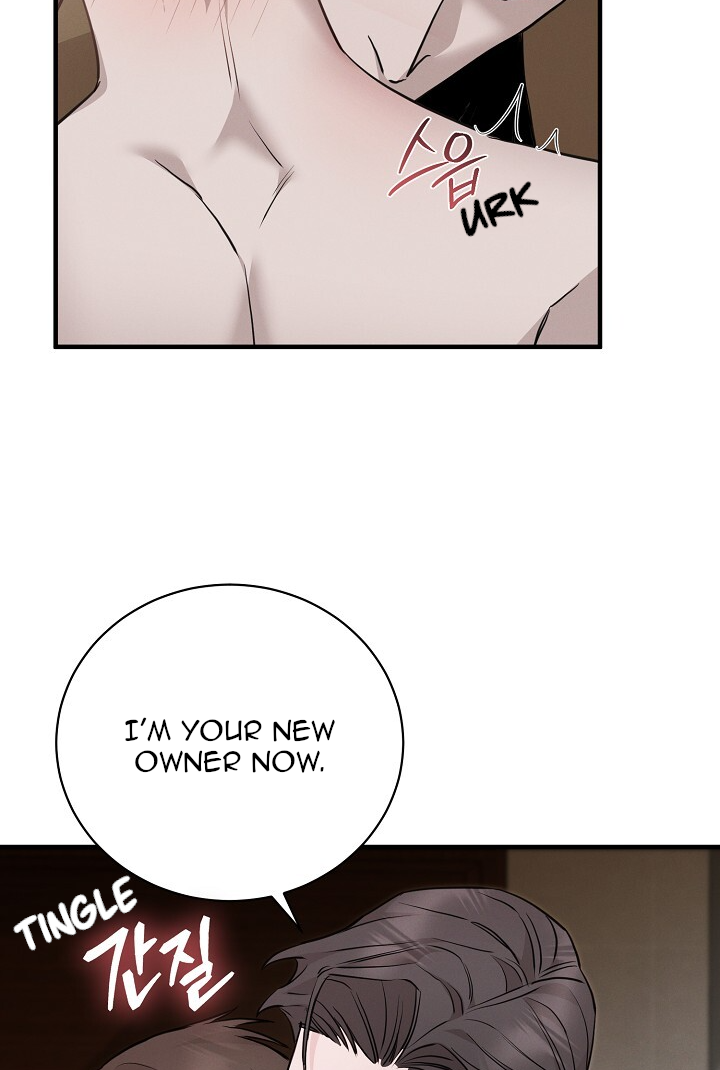 Morpheus 𖤍 DLS 𖤍 - Chapter 13 🔞 manhwa