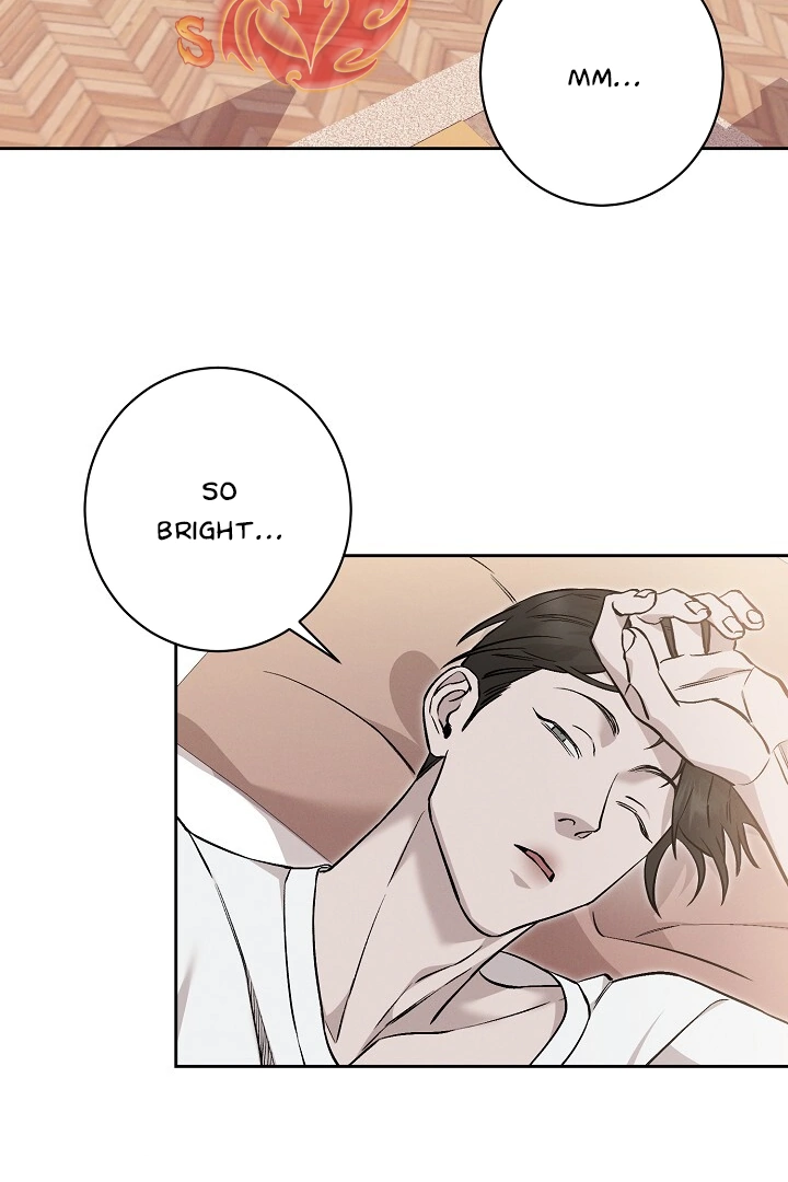 Morpheus 𖤍 DLS 𖤍 - Chapter 16 manhwa