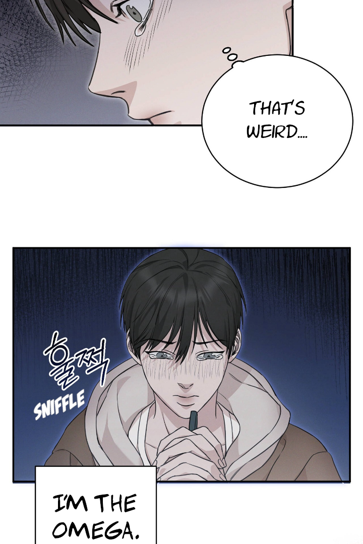Morpheus 𖤍 DLS 𖤍 - Chapter 2 manhwa