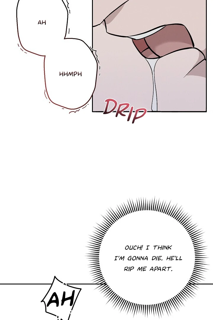 Morpheus 𖤍 DLS 𖤍 - Chapter 23 🔞 manhwa