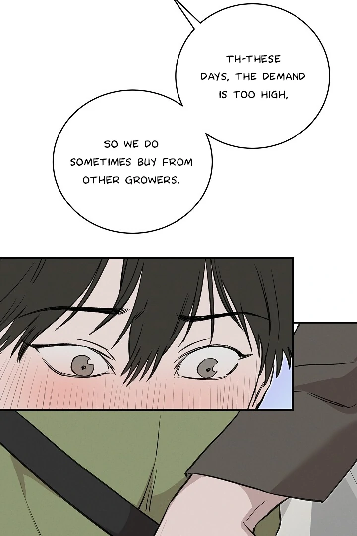 Morpheus 𖤍 DLS 𖤍 - Chapter 29 manhwa