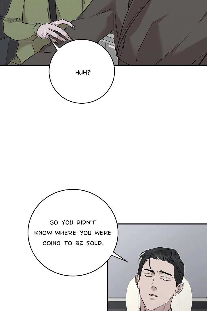 Morpheus 𖤍 DLS 𖤍 - Chapter 29 manhwa