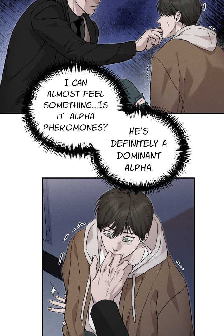 Morpheus 𖤍 DLS 𖤍 - Chapter 3 manhwa