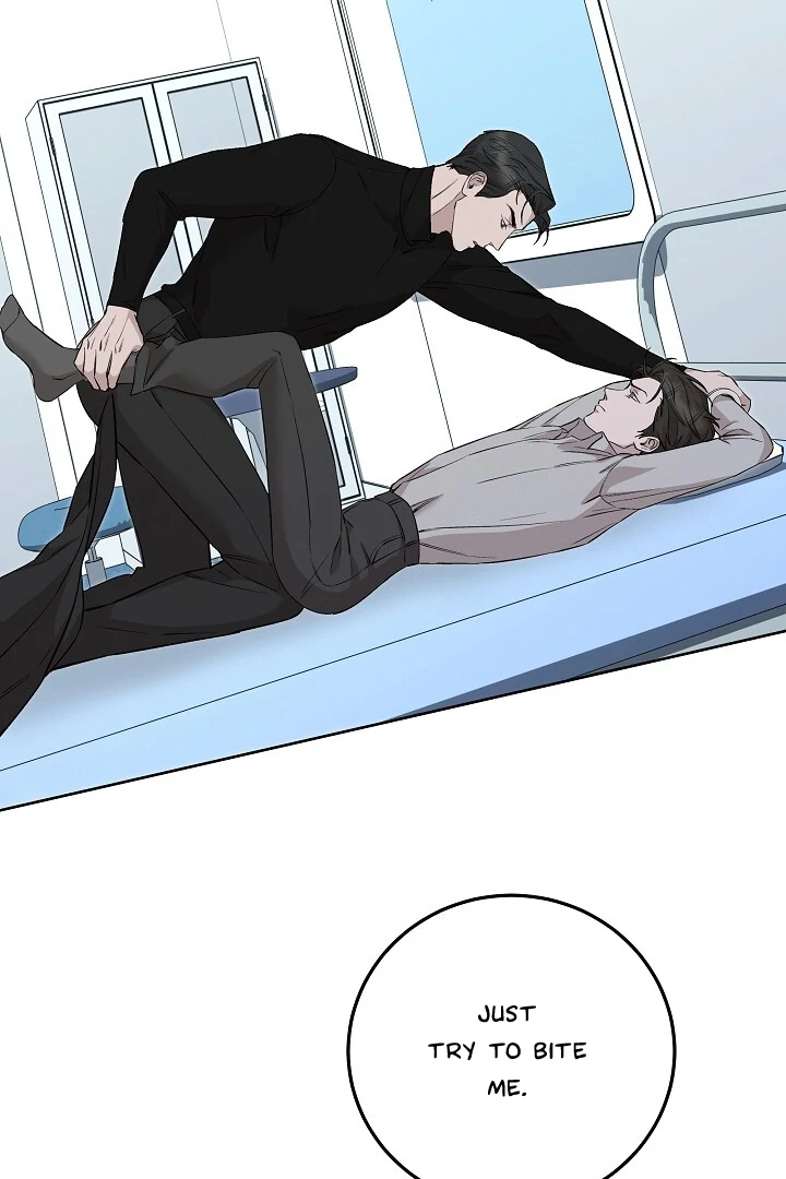 Morpheus 𖤍 DLS 𖤍 - Chapter 37 manhwa