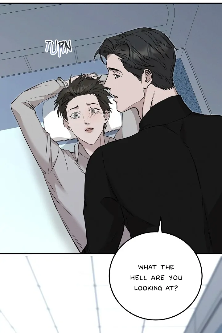 Morpheus 𖤍 DLS 𖤍 - Chapter 37 manhwa