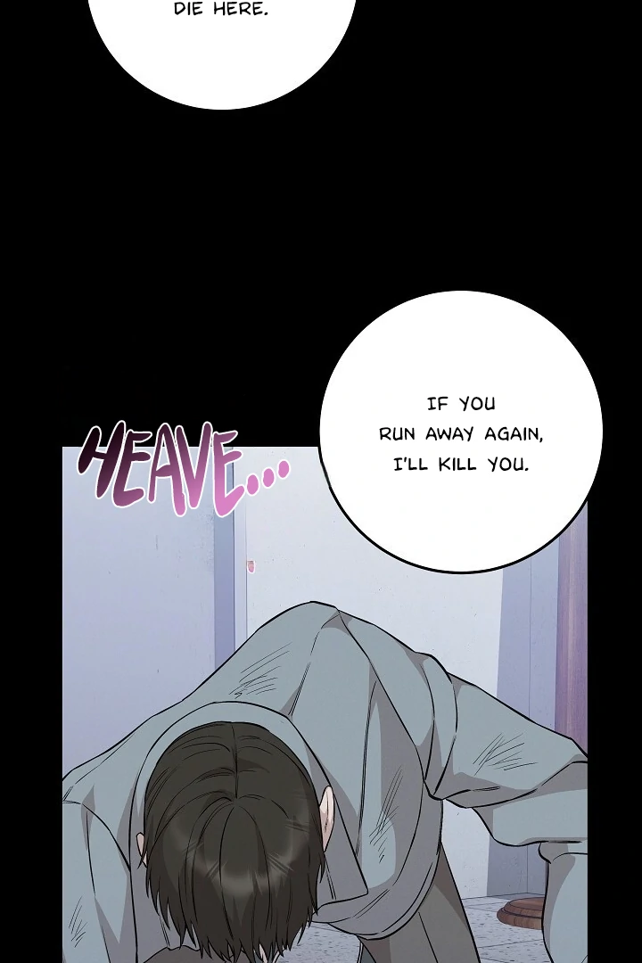 Morpheus 𖤍 DLS 𖤍 - Chapter 42 manhwa