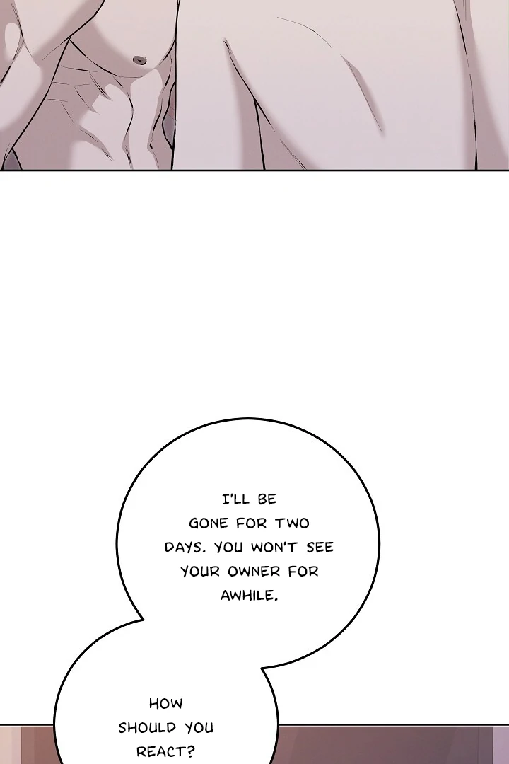 Morpheus 𖤍 DLS 𖤍 - Chapter 53 🔞 manhwa