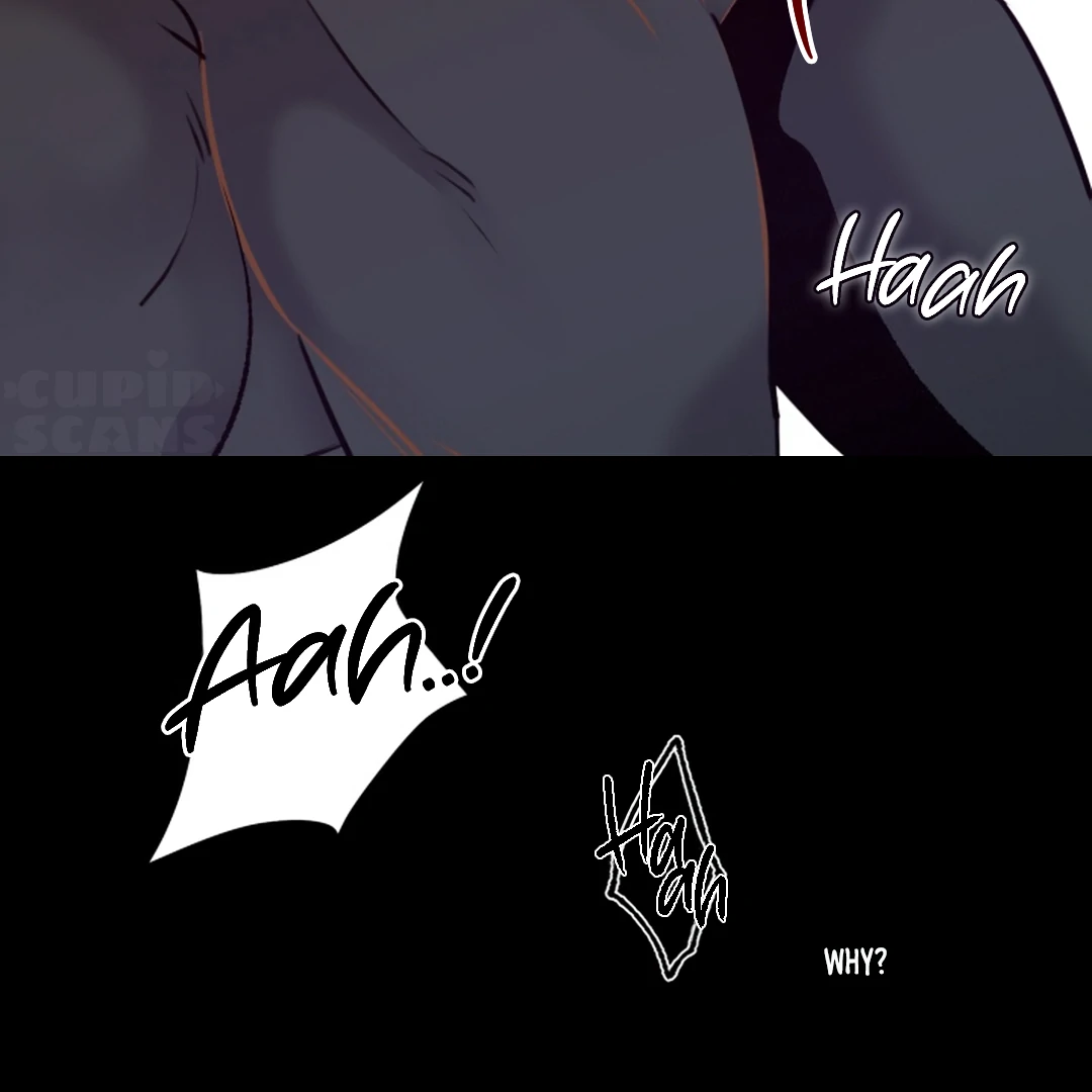 Prostate Capture Report (UNCENSORED) [Cupid Scans] - Chapter 11 manhwa
