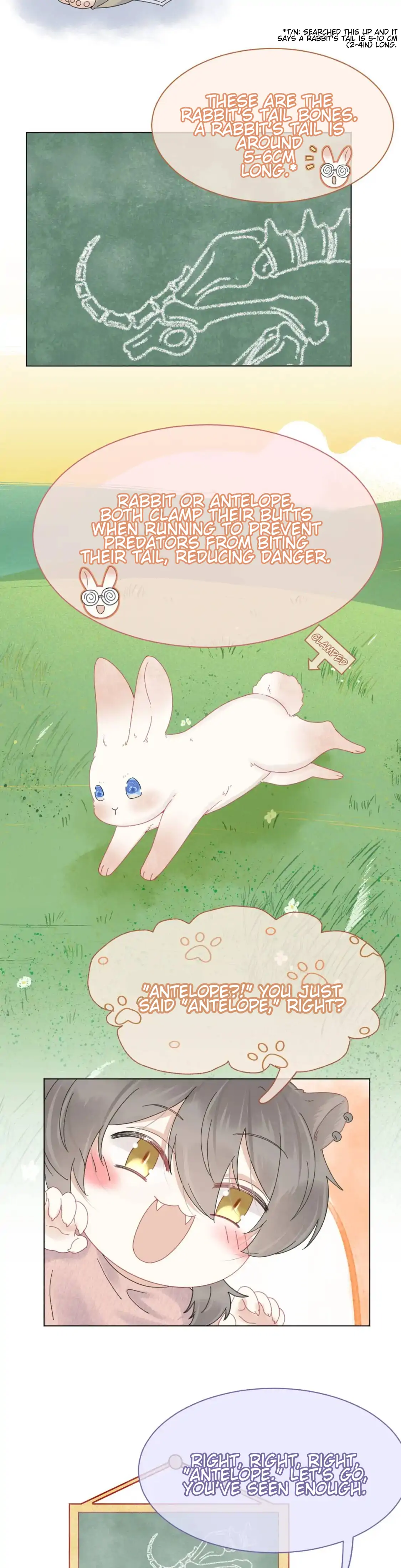 Eat a Rabbit in One Bite - Chapter 25 manhwa