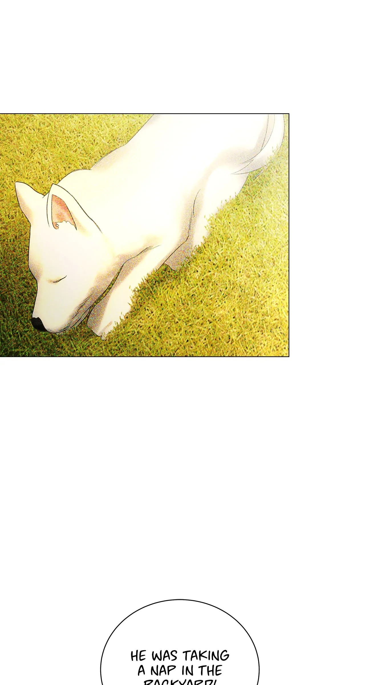 The Melancholic Conman - Chapter 3 manhwa