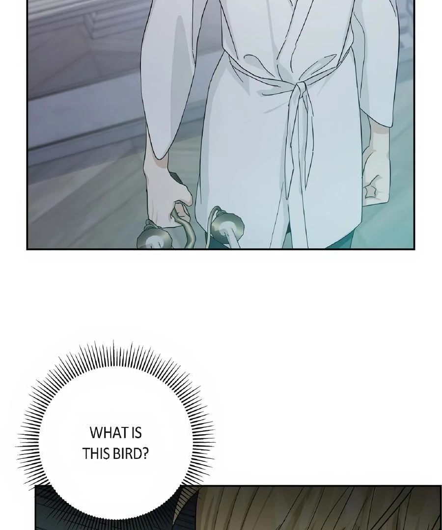 Full Moon Alchemist - Season 3 manhwa