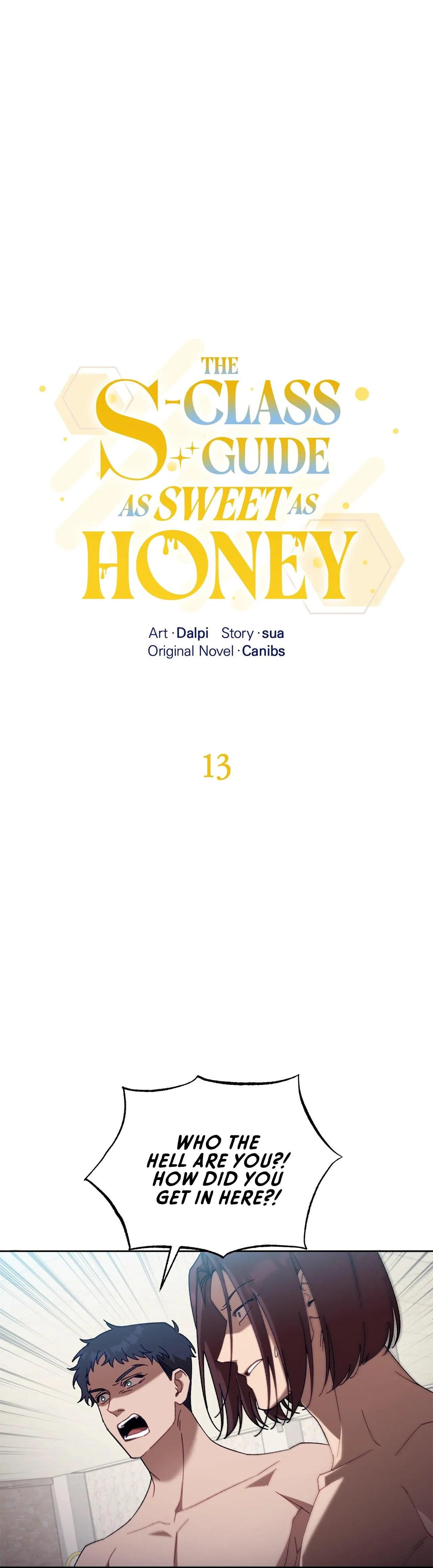 The S-Class Guide as Sweet as Honey [Mature Official] - Chapter 13 manhwa