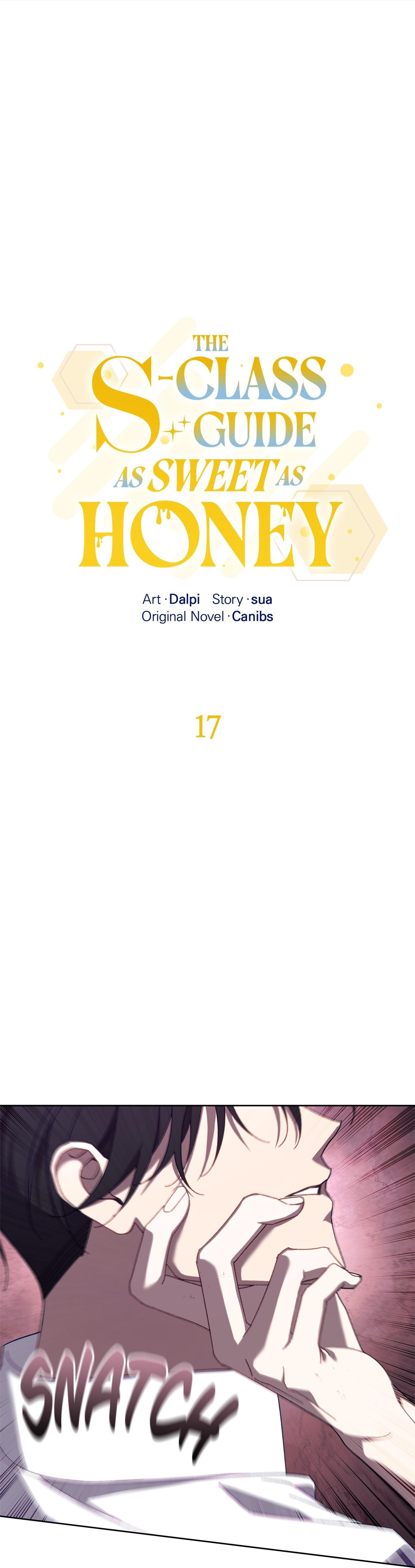 The S-Class Guide as Sweet as Honey [Mature Official] - Chapter 17 manhwa