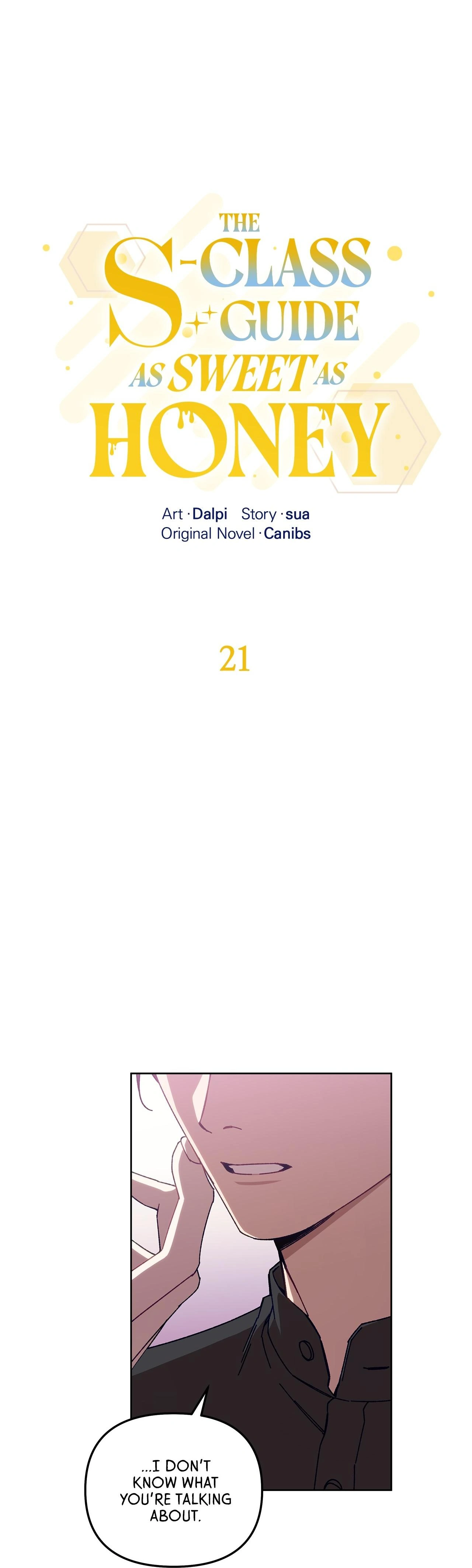 The S-Class Guide as Sweet as Honey [Mature Official] - Chapter 21 manhwa