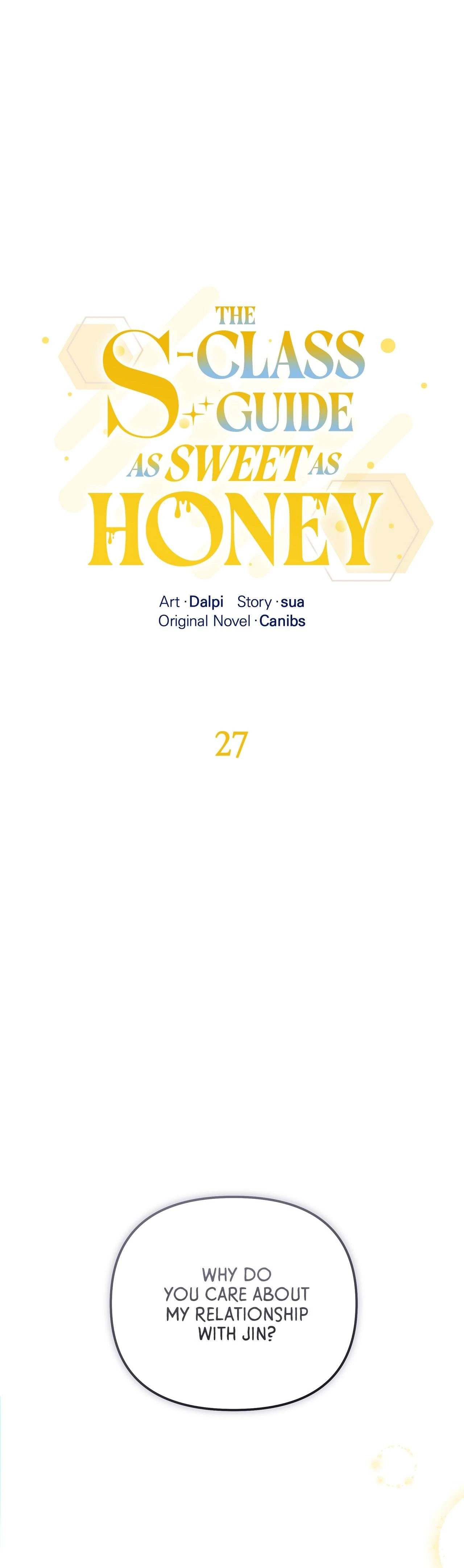 The S-Class Guide as Sweet as Honey [Mature Official] - Chapter 27 manhwa