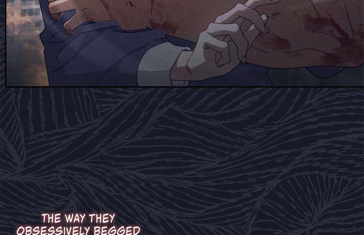 The S-Class Guide as Sweet as Honey [Mature Official] - Chapter 31 manhwa