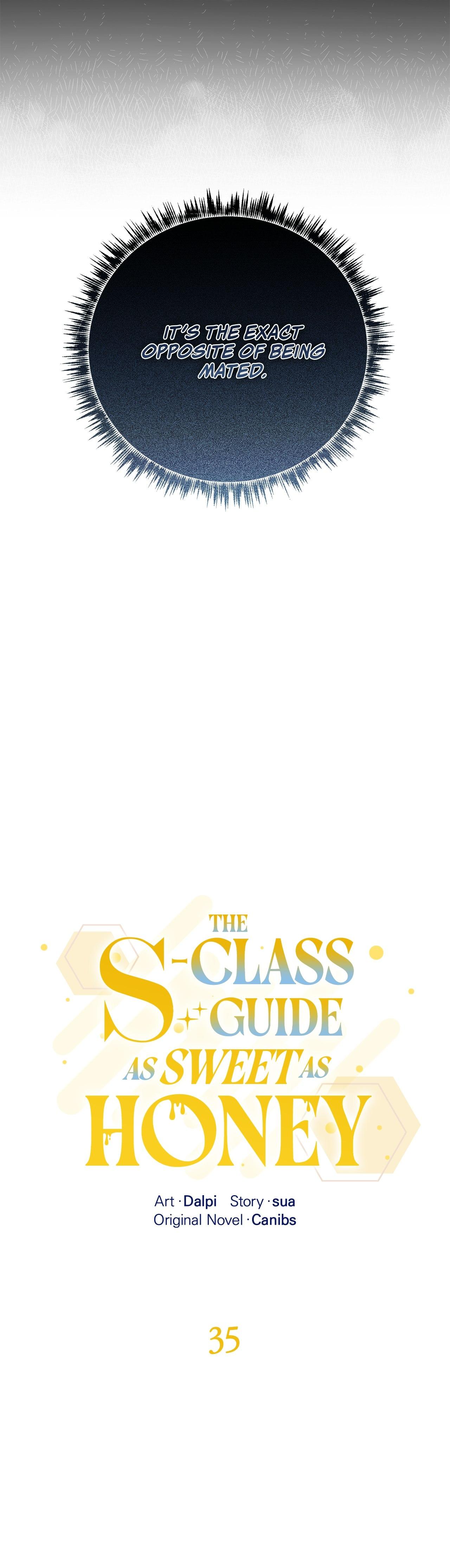 The S-Class Guide as Sweet as Honey [Mature Official] - Chapter 35 manhwa