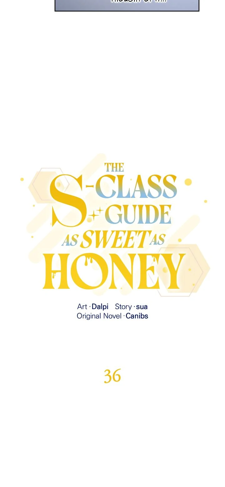 The S-Class Guide as Sweet as Honey [Mature Official] - Chapter 36 manhwa
