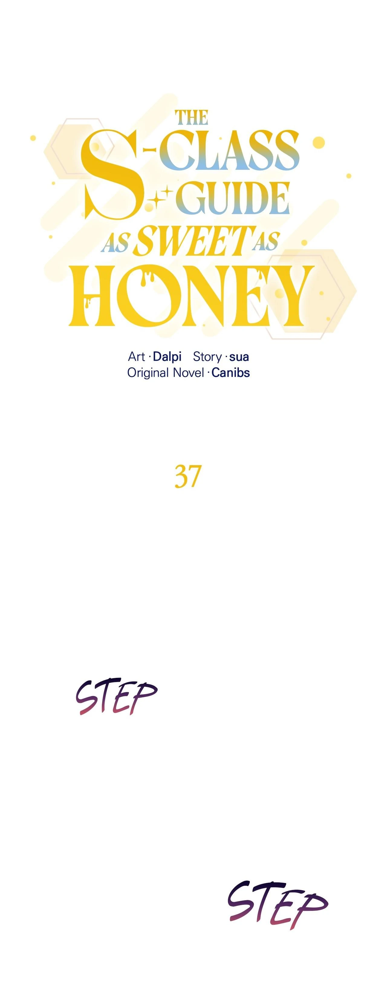The S-Class Guide as Sweet as Honey [Mature Official] - Chapter 37 manhwa