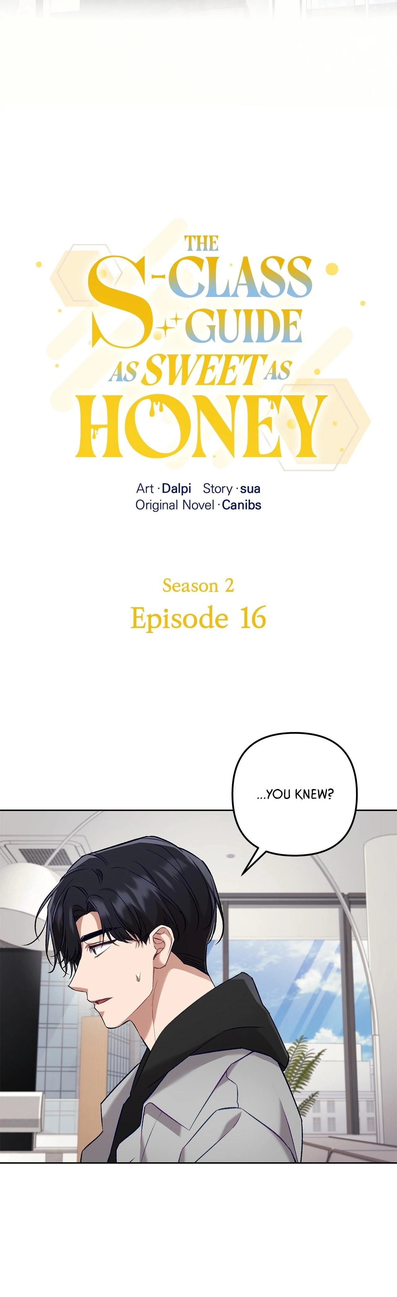 The S-Class Guide as Sweet as Honey [Mature Official] - Chapter 61 manhwa