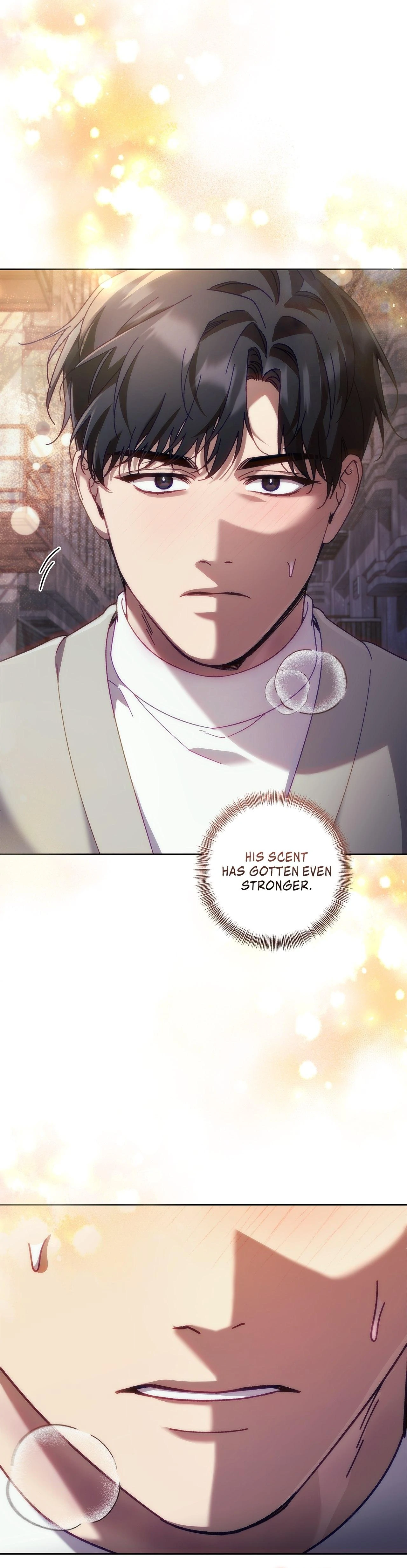 The S-Class Guide as Sweet as Honey [Mature Official] - Season 1 Finale manhwa