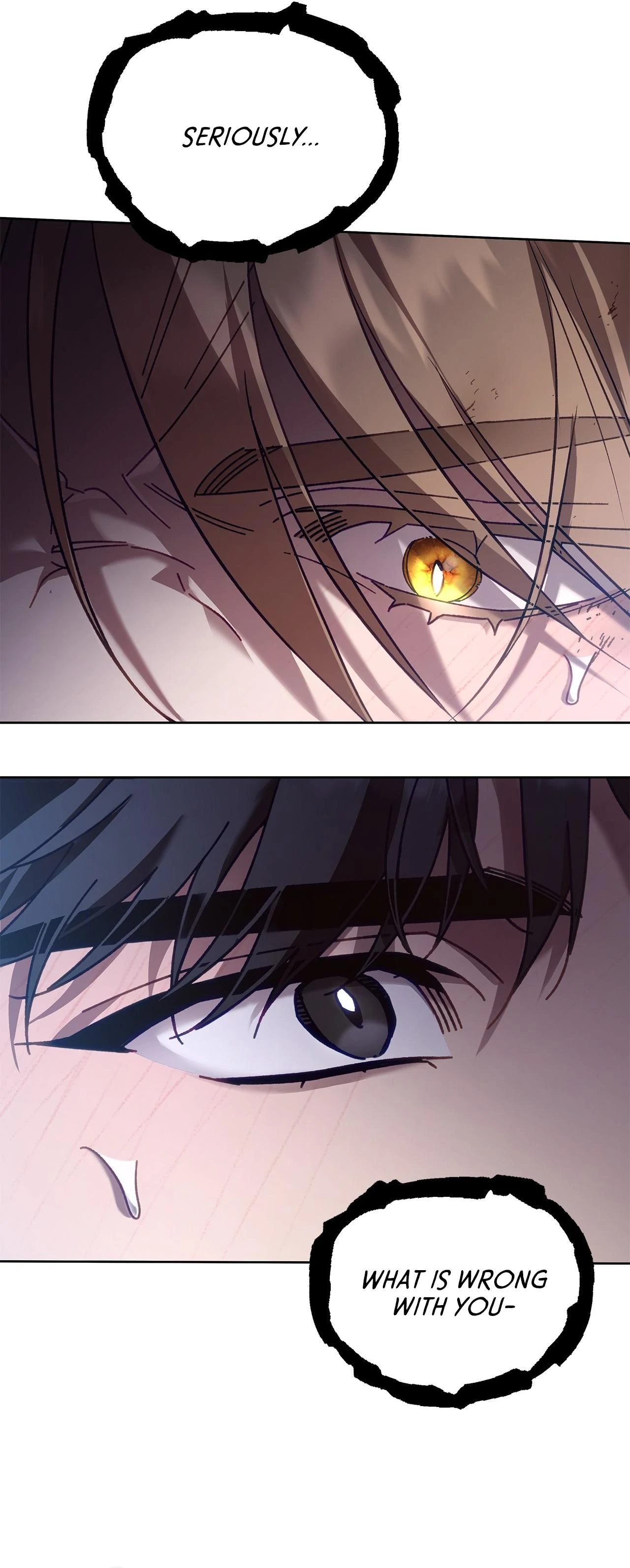 The S-Class Guide as Sweet as Honey [Mature Official] - Season 1 Finale manhwa