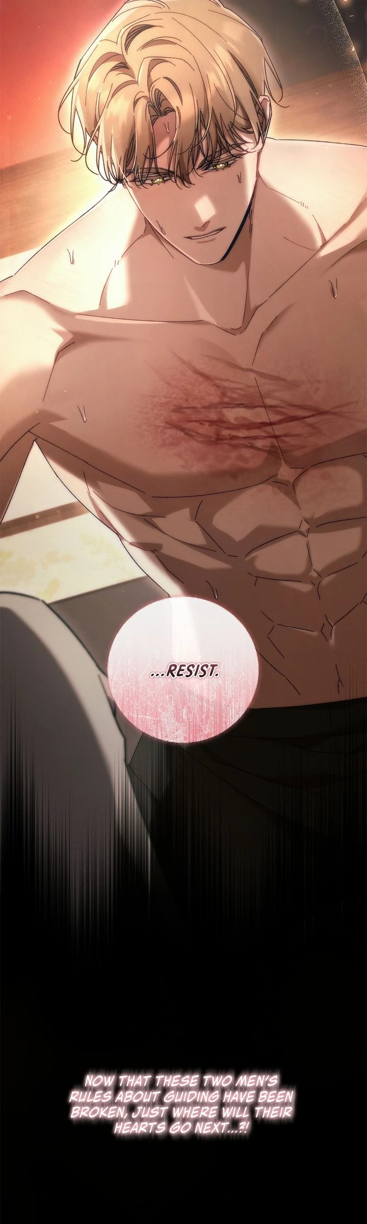 The S-Class Guide as Sweet as Honey [Mature Official] - Season 2 Prologue 18+ manhwa