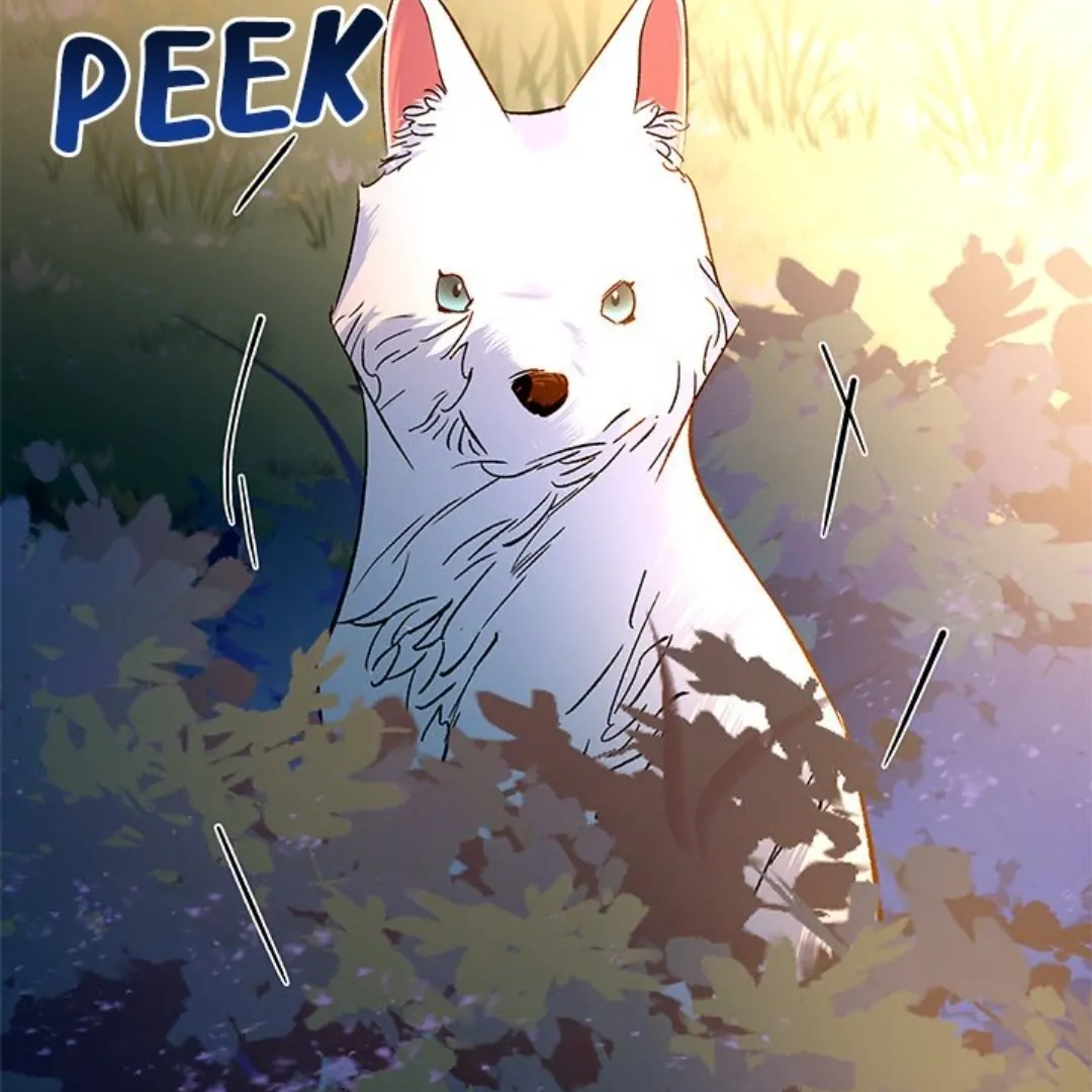 To Be His Wish [Official] - Chapter 29 manhwa