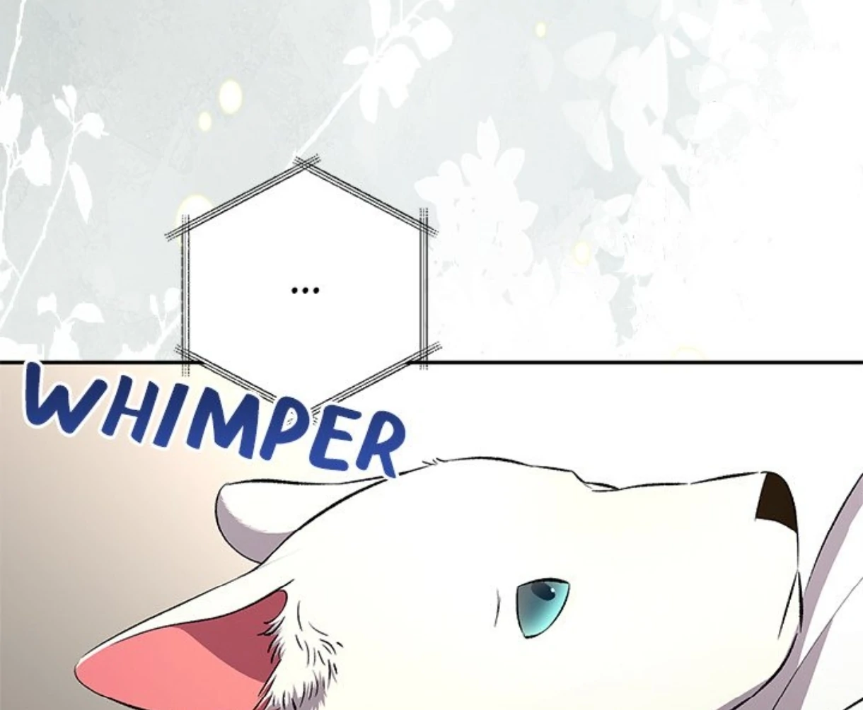 To Be His Wish [Official] - Chapter 59 manhwa