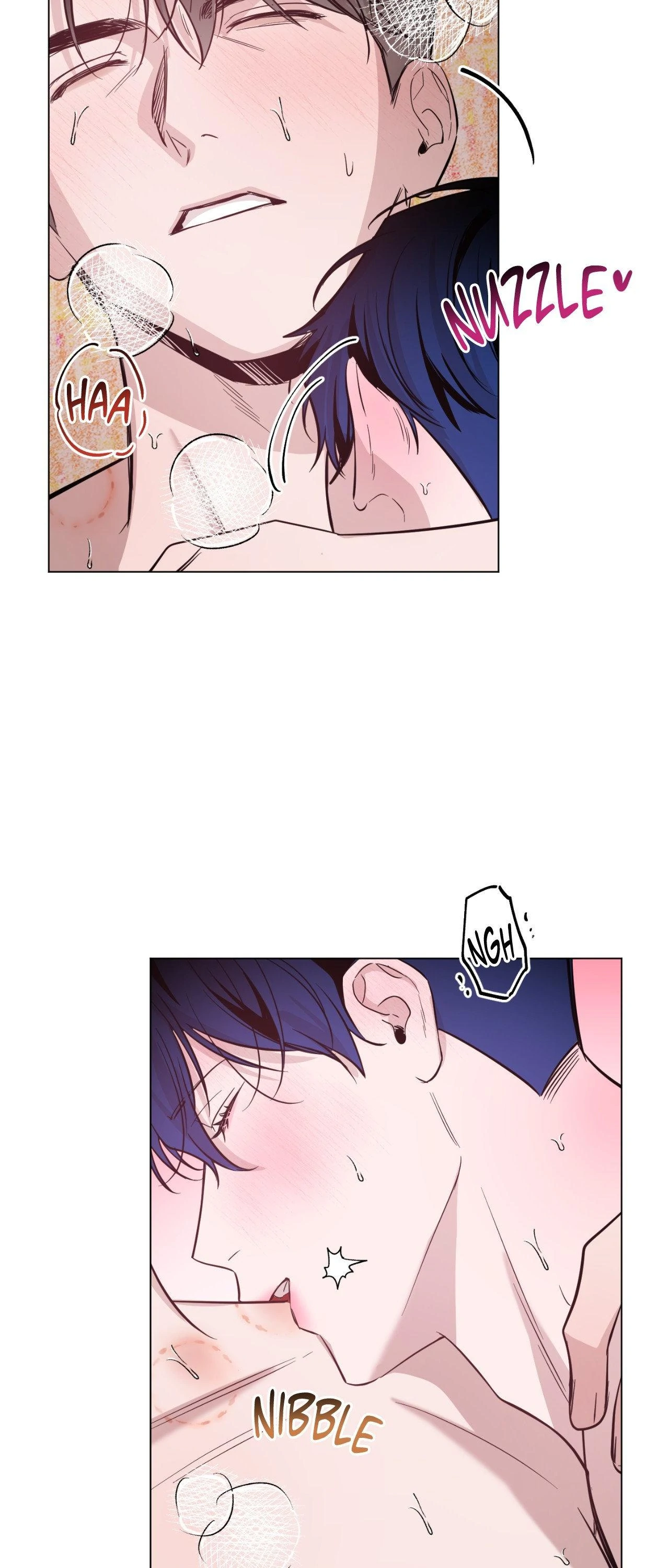 Dawn After Darkness [Official] - Chapter 63 manhwa