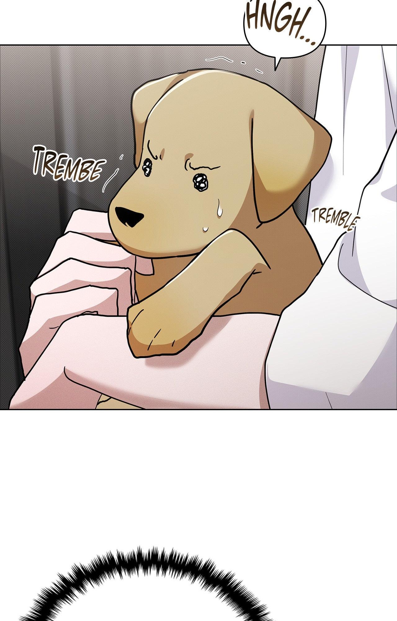 Paws & Claws - Epilogue (6) manhwa
