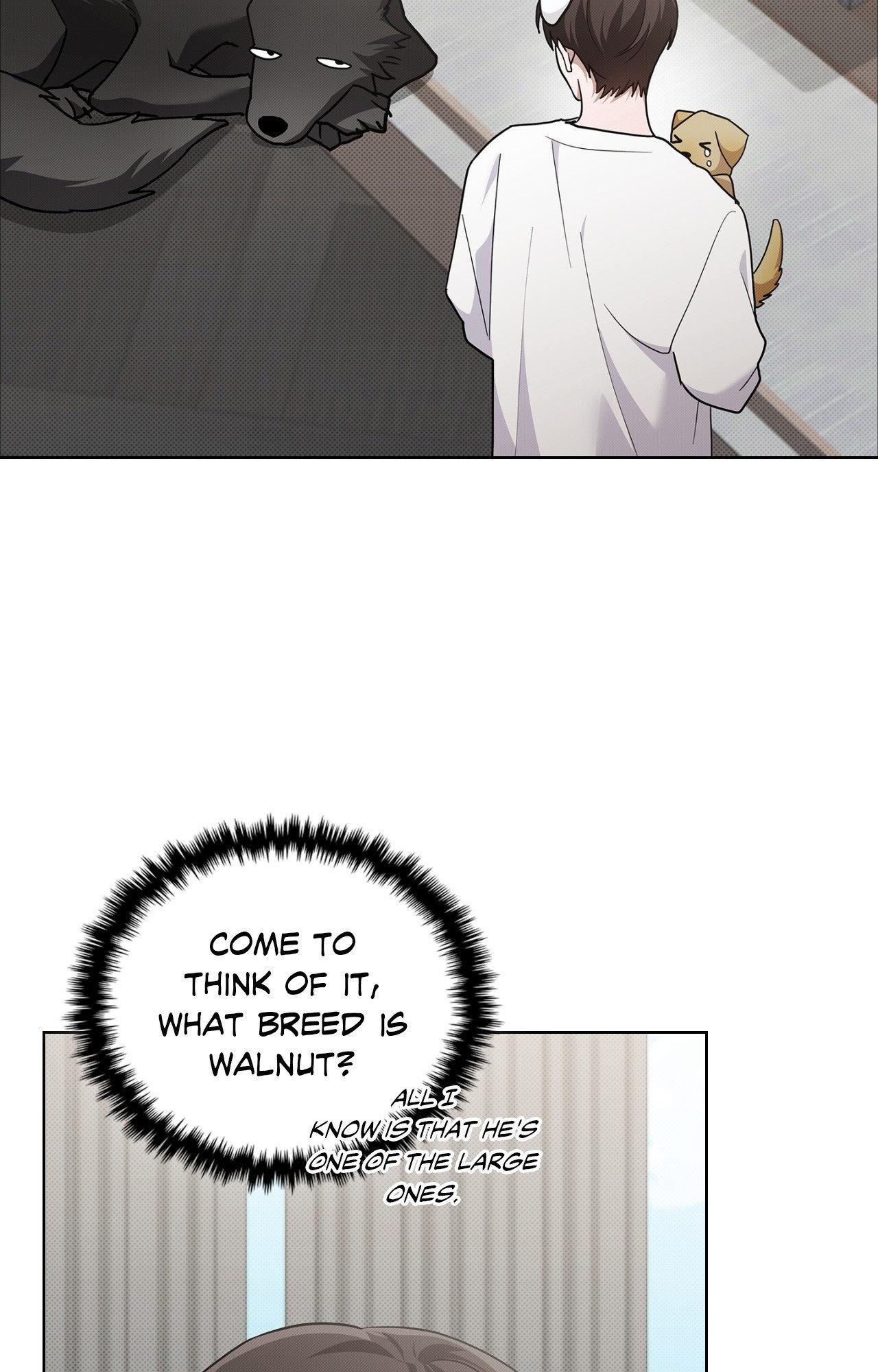 Paws & Claws - Epilogue (6) manhwa