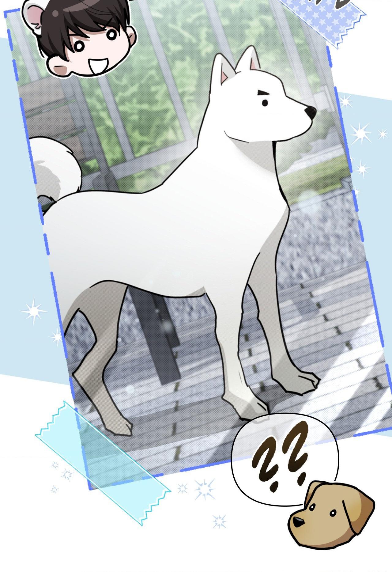 Paws & Claws - Epilogue (6) manhwa