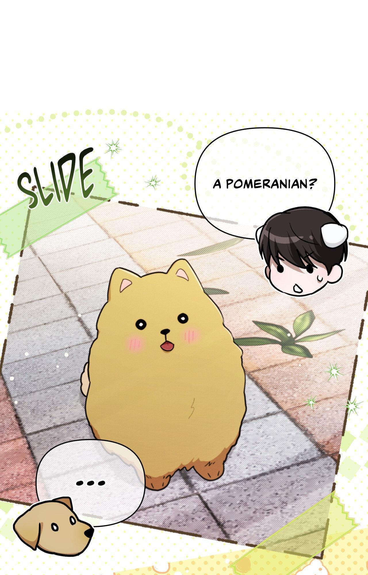 Paws & Claws - Epilogue (6) manhwa