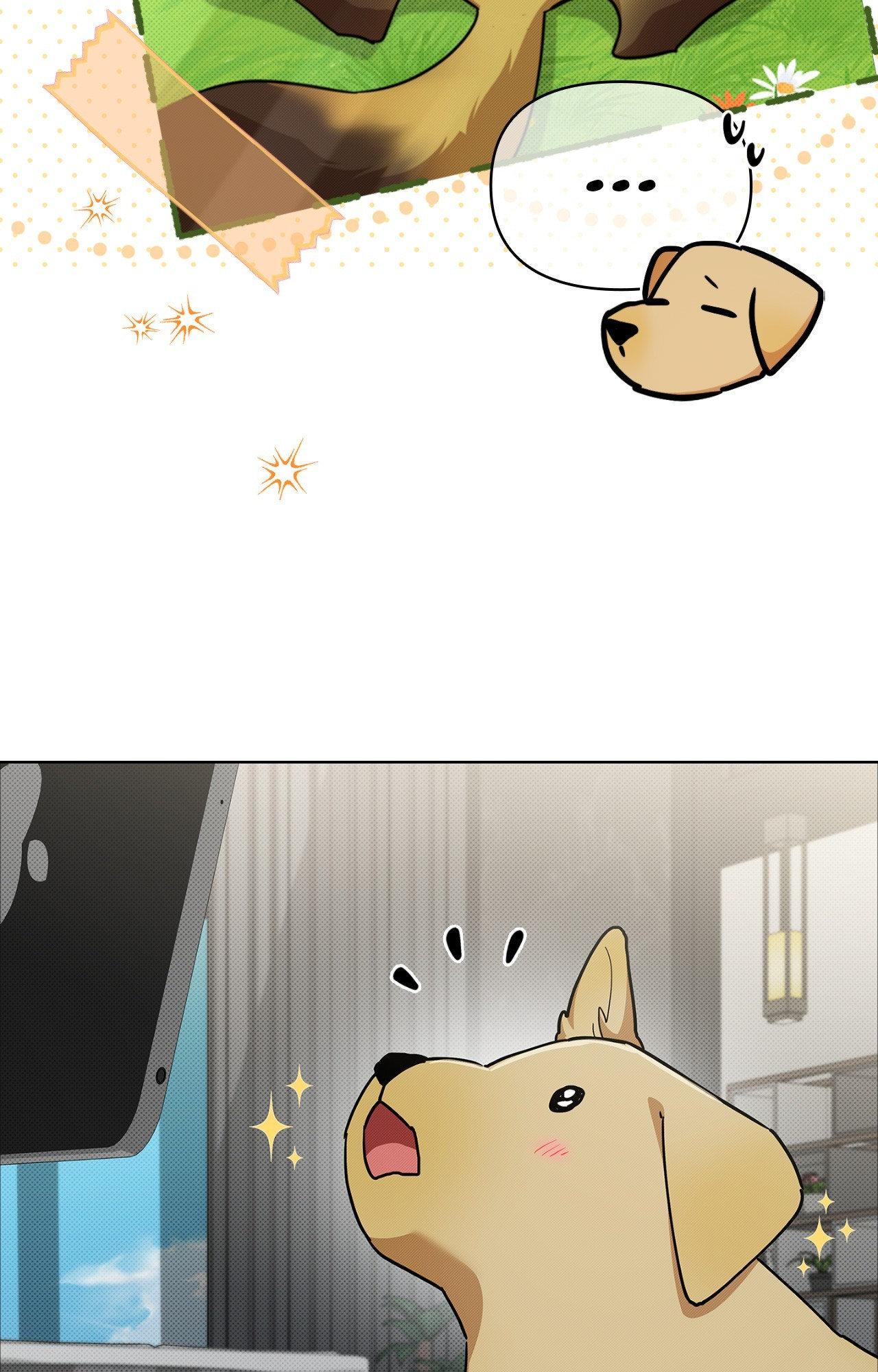 Paws & Claws - Epilogue (6) manhwa