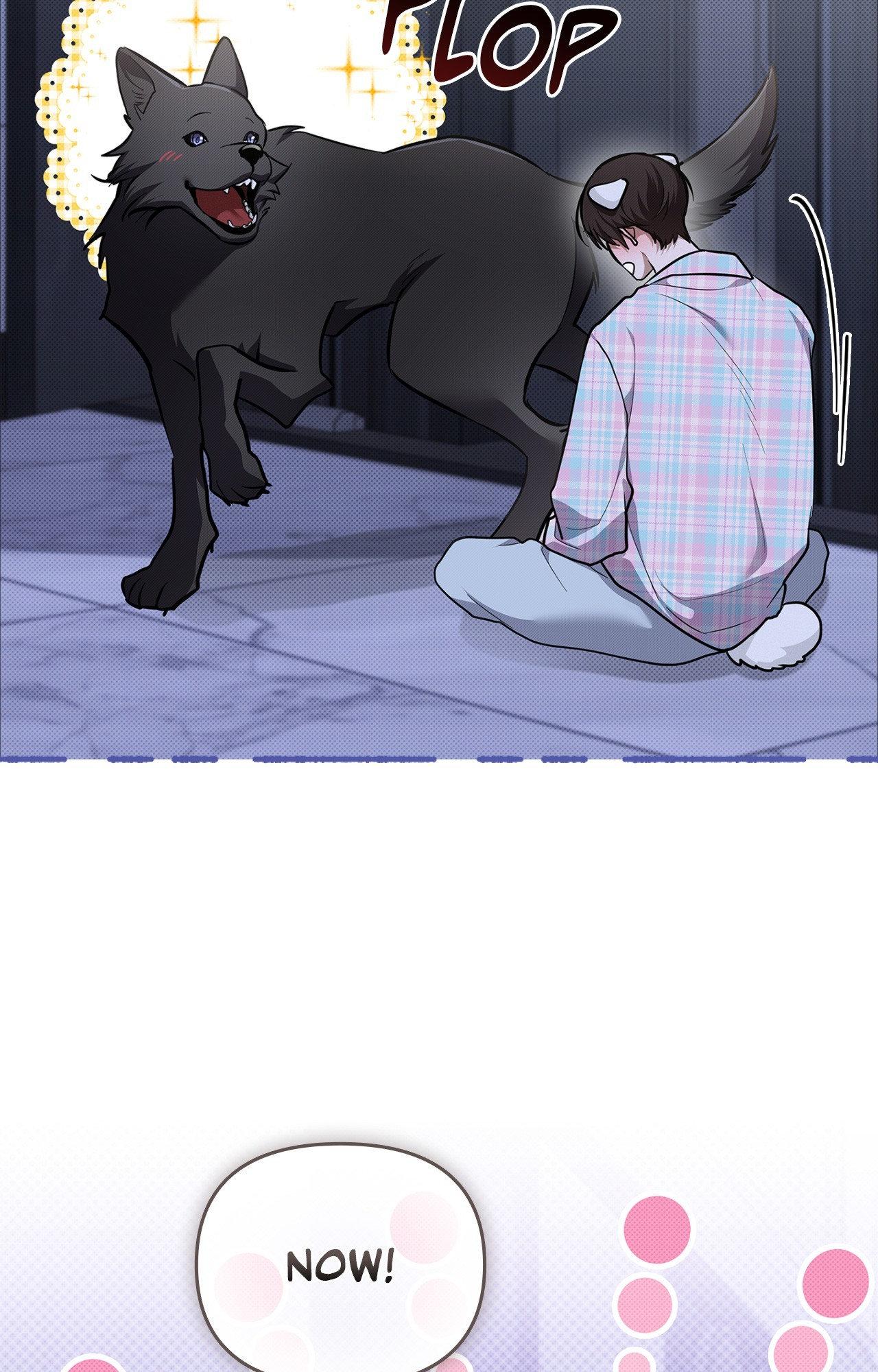 Paws & Claws - Epilogue (6) manhwa