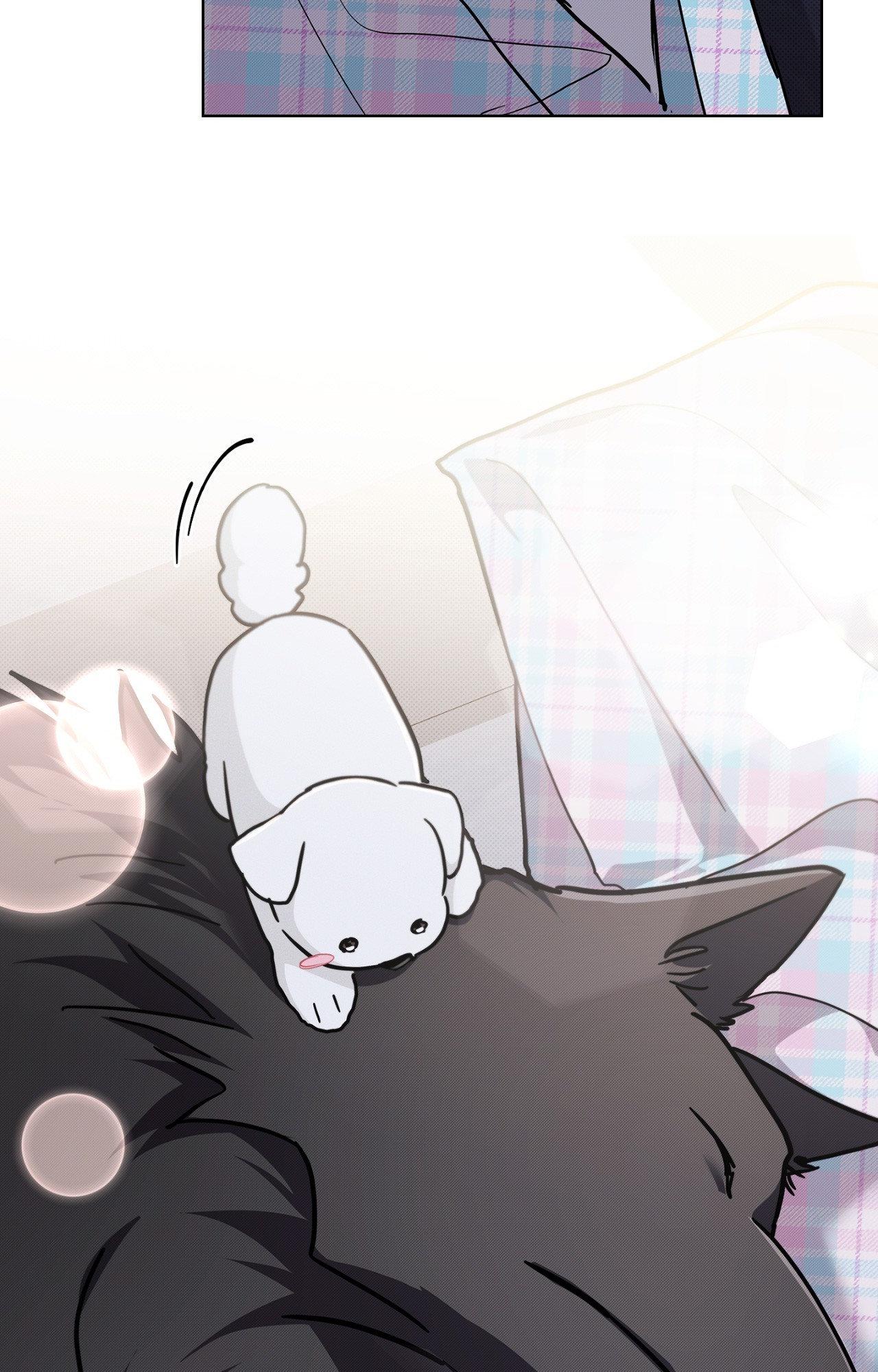 Paws & Claws - Epilogue (7) manhwa
