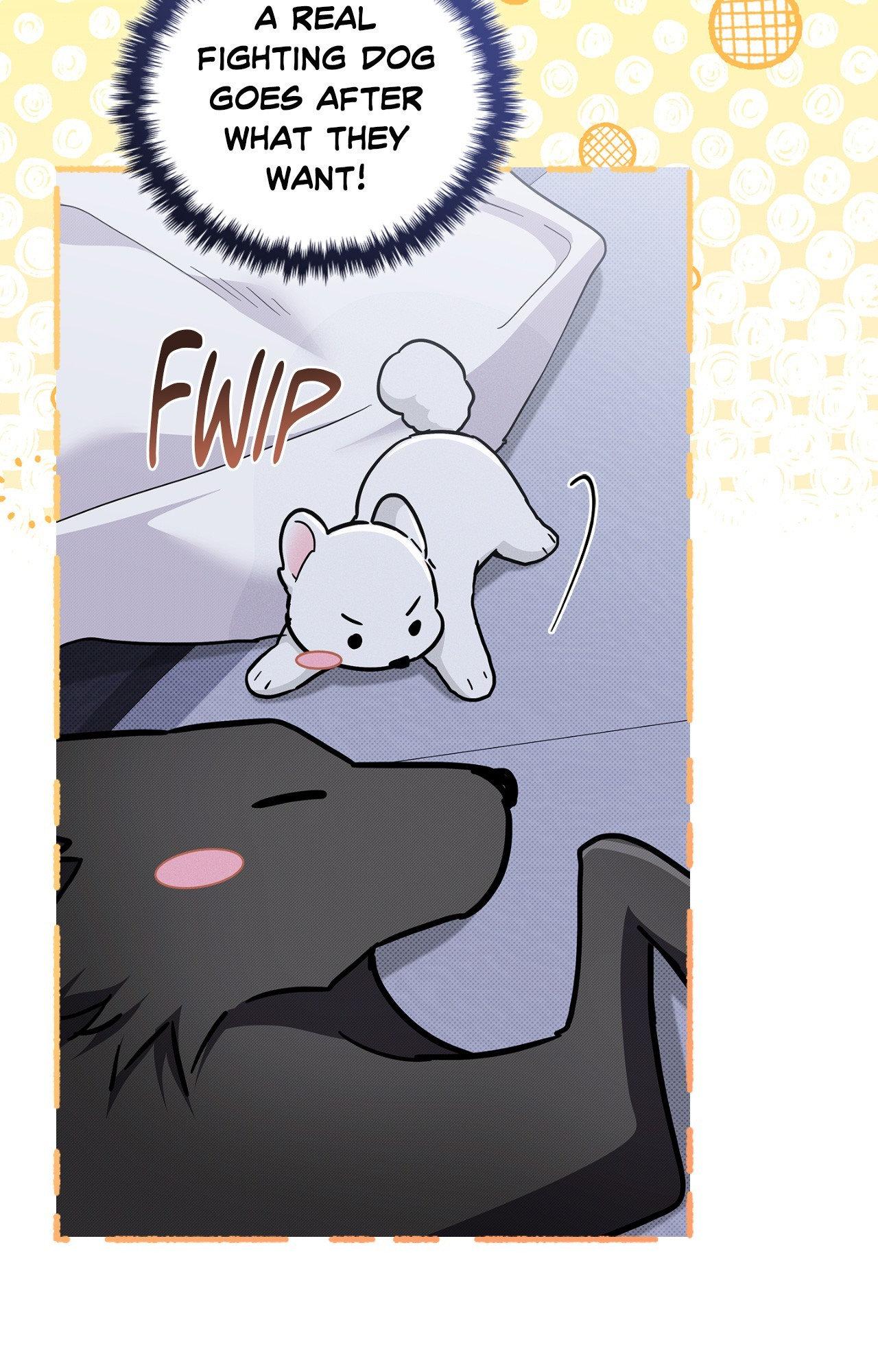 Paws & Claws - Epilogue (7) manhwa