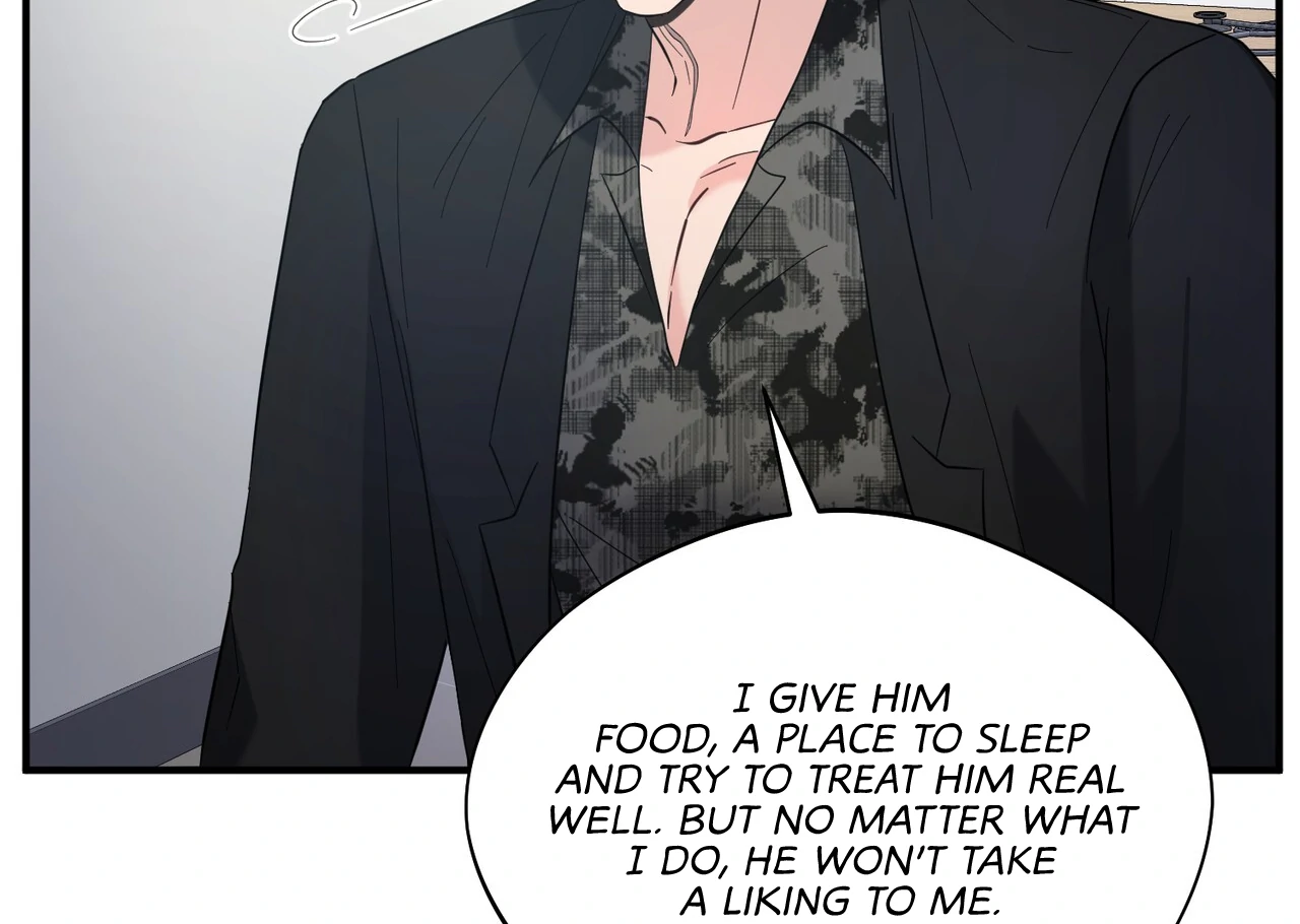 One Day a Gangster 𖤍 DLS 𖤍 - Chapter 09 manhwa