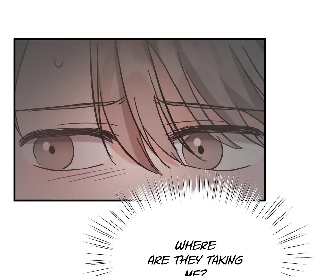 One Day a Gangster 𖤍 DLS 𖤍 - Chapter 13 manhwa