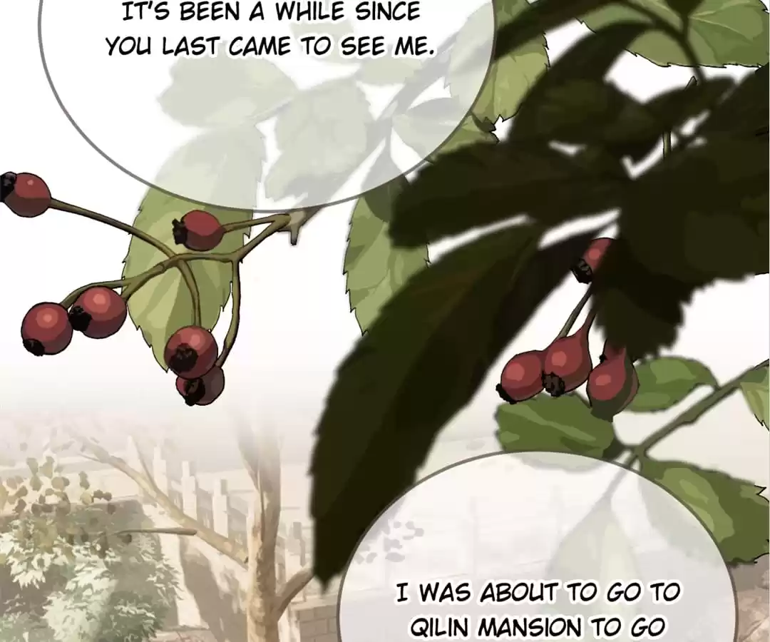 The Silent Concubine II [Official] - Chapter 14 manhwa