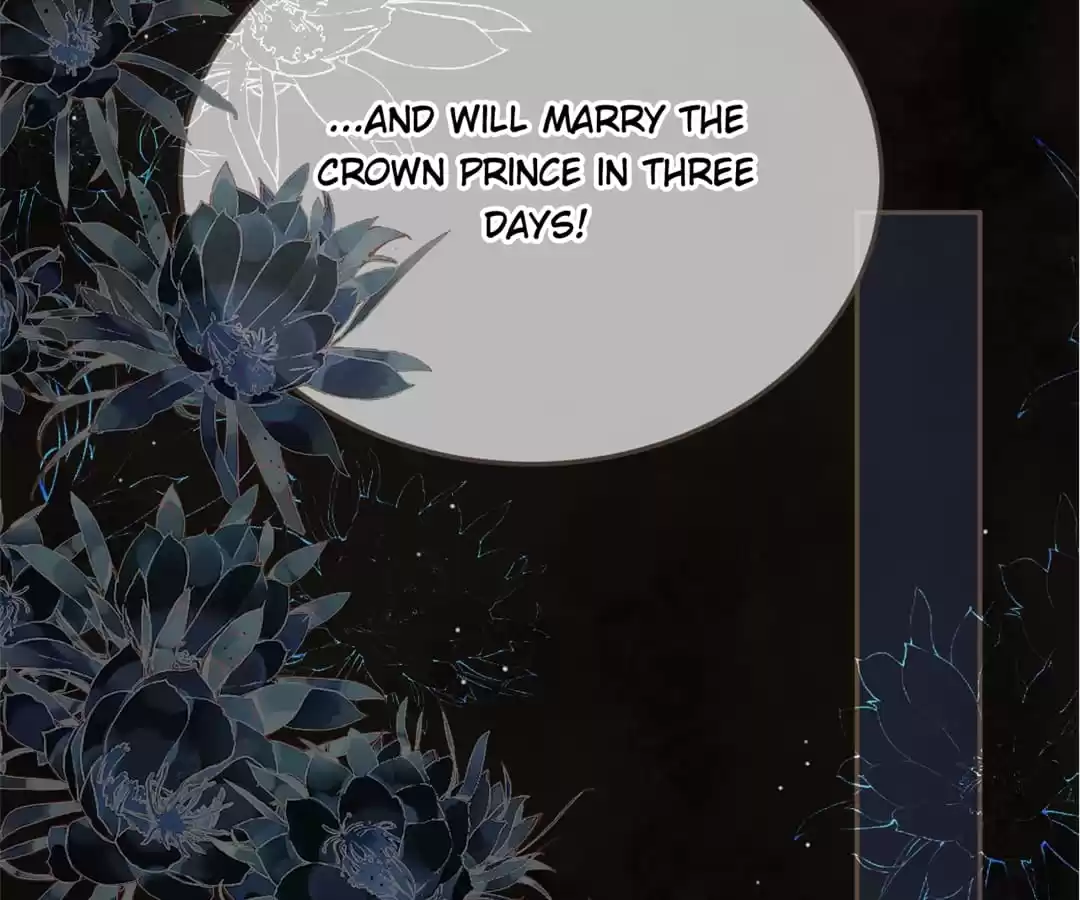 The Silent Concubine II [Official] - Chapter 4 manhwa