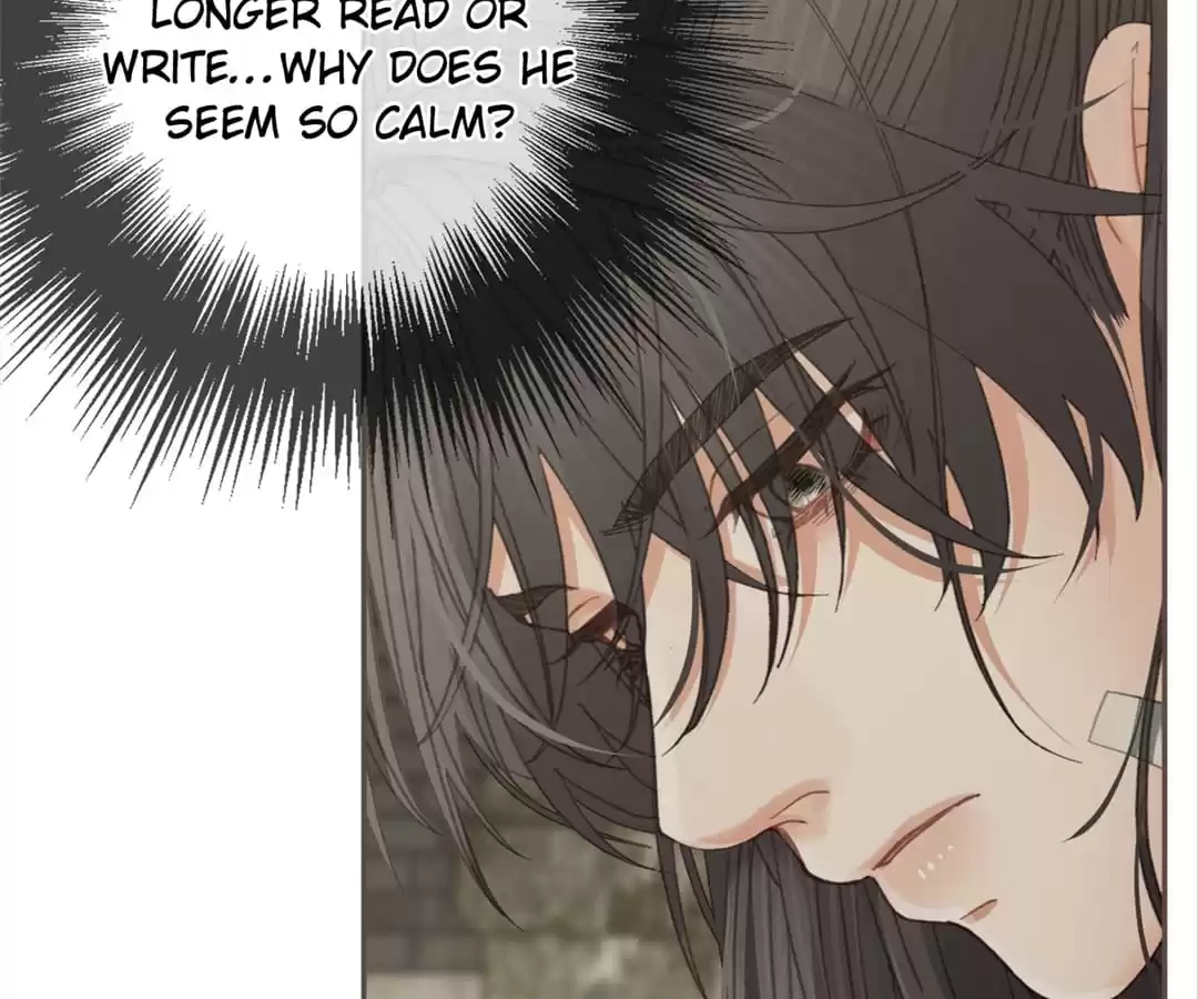 The Silent Concubine II [Official] - Chapter 47 manhwa