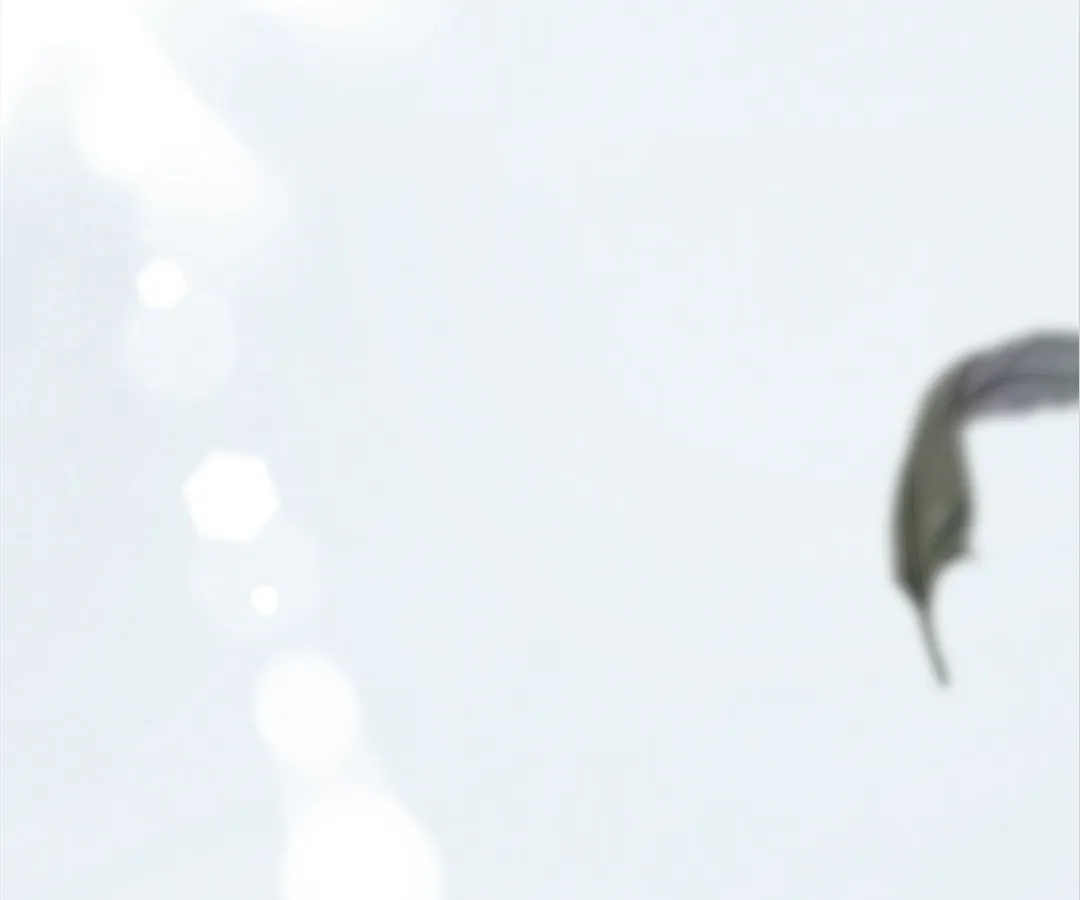 The Silent Concubine II [Official] - Chapter 67 manhwa