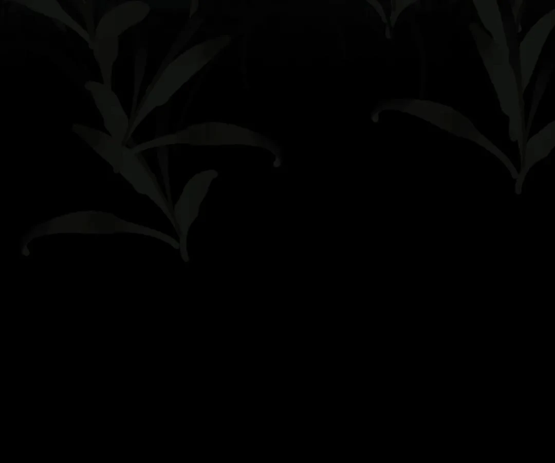 The Silent Concubine II [Official] - Chapter 84 manhwa