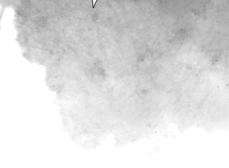 Bedtime Fairy Tales [Official UNCENSORED] - 42. Dust-covered Memories manhwa