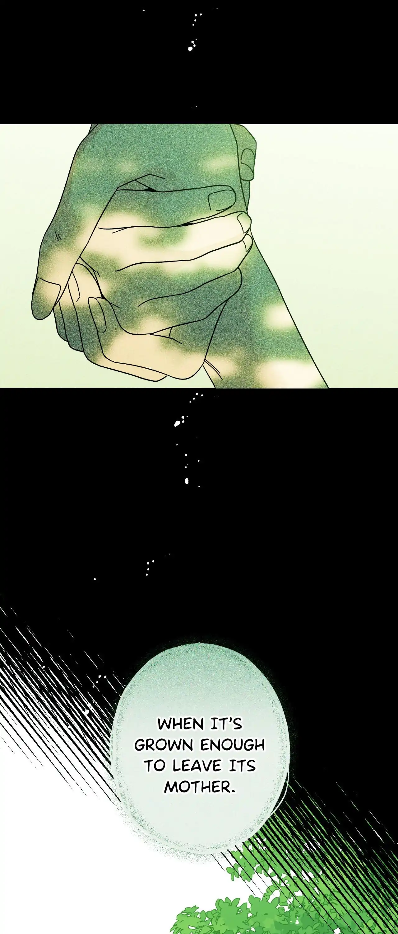 HOME5 [Official] - Chapter 85 manhwa