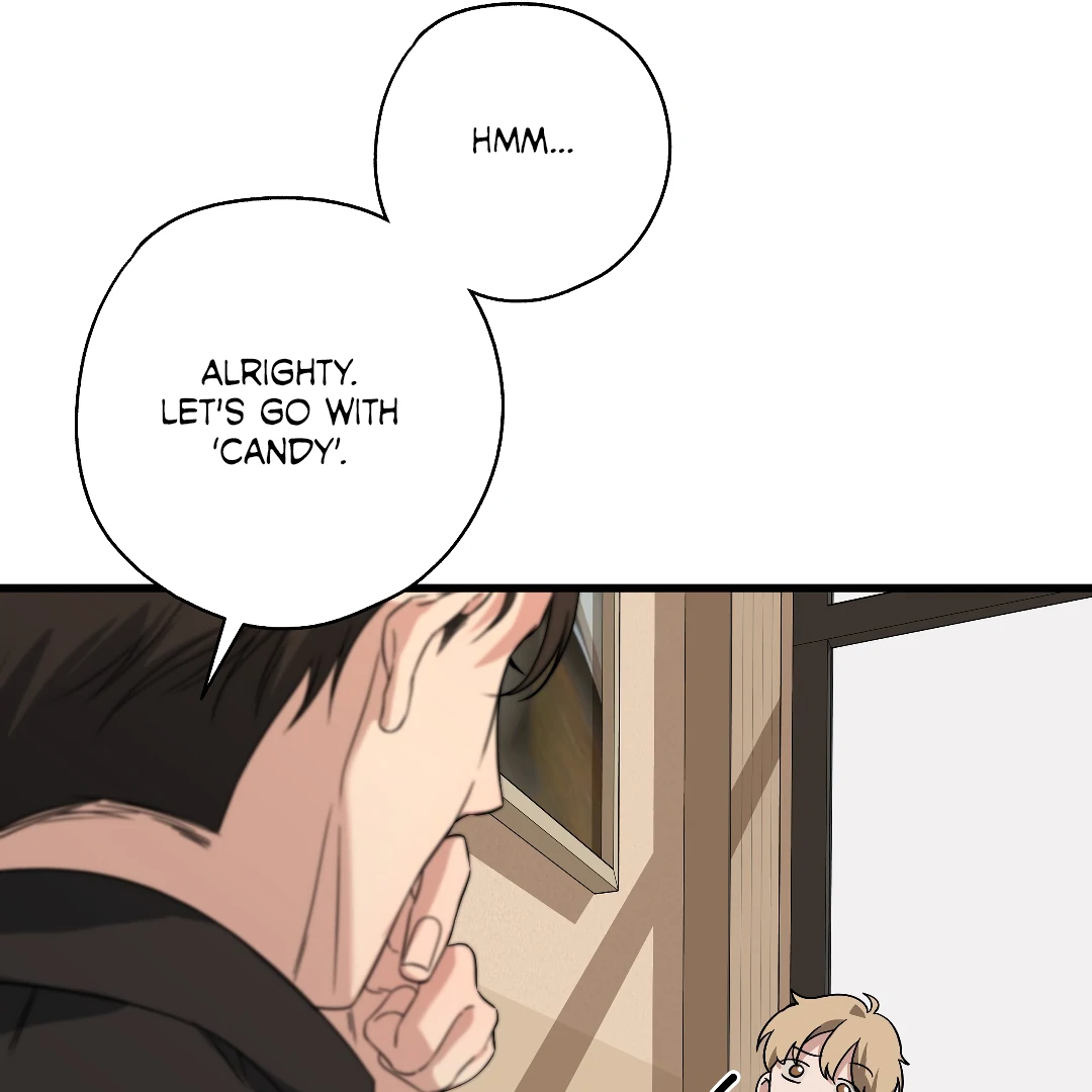 Candy Contract (MGS) - Chapter 6 manhwa