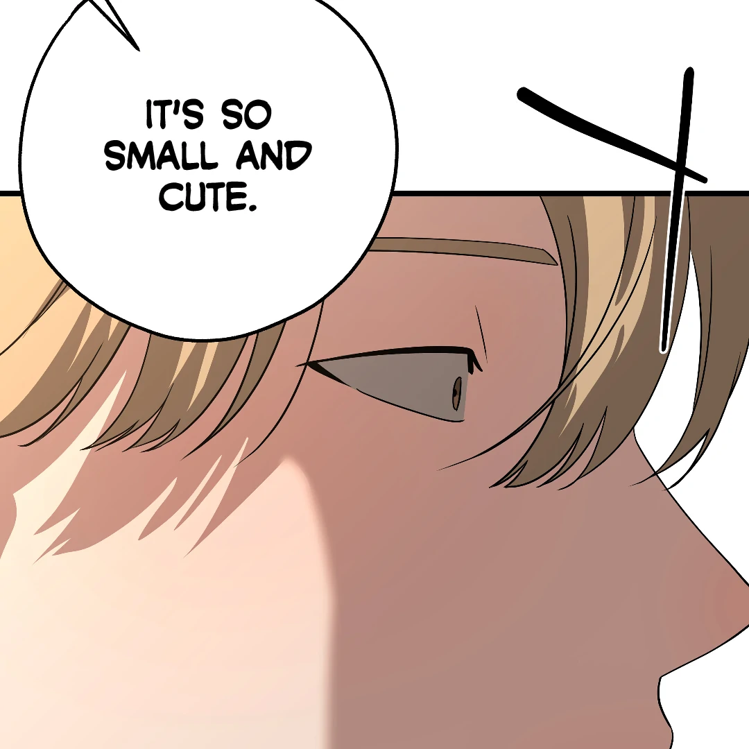 Candy Contract (MGS) - Chapter 8 manhwa