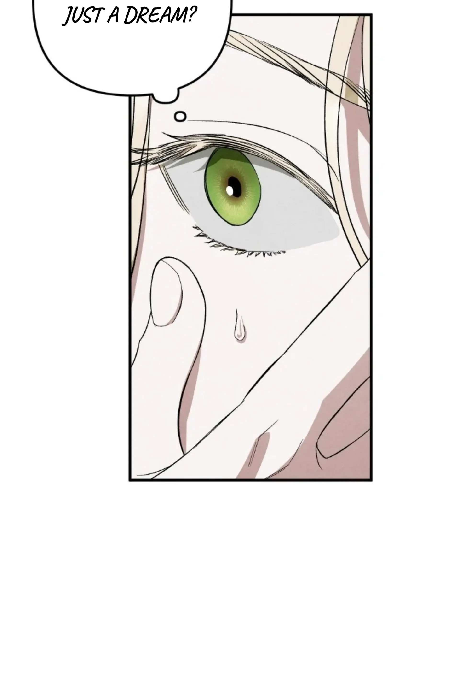 To My Beloved Master ( PARADISE X SAKISOS ) - Chapter 2: TW NON CON manhwa